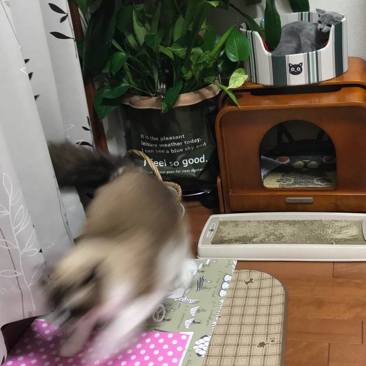 9cab41a3 5d18 4da2 925c c7d936872b38 1508077391195