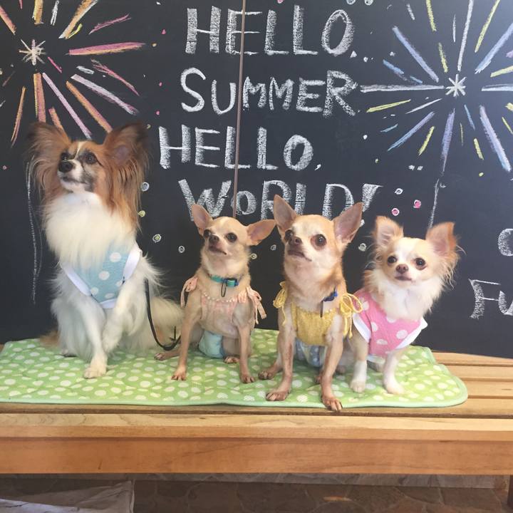 9cab48c7 7f08 415d aed8 00d1b7fc21fb 1532234869832