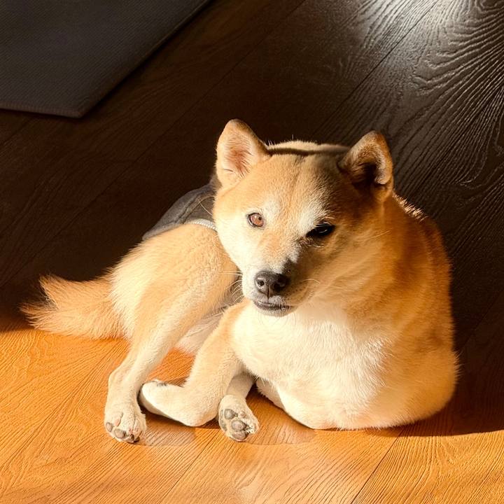 9cab4f9d 3cca 4616 a65e 134d31a3769c 1771306797556