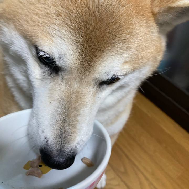 9cab5bfa 4da7 41c6 93e0 52215f6bdc76 1654335331879