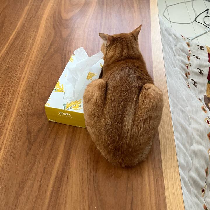 9cabd4cb 9eec 4422 a9a9 12adcb093bca 1774144369783