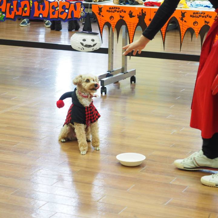 9cac0a81 b93a 4469 ae76 d8b3fe8f4019 1539348748852