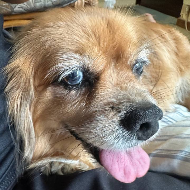 9cac0f8c 9d4f 4d23 8798 f193041fde68 1757724605271