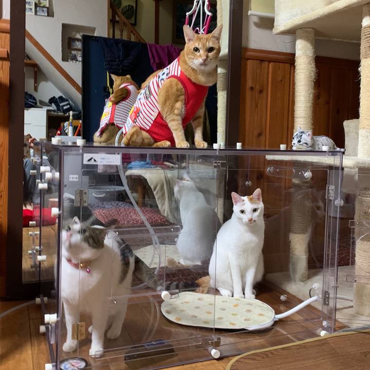 9cac2e98 5359 4151 a077 0f0d749c4905 1579882034022