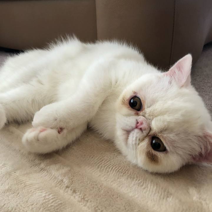 9cac40c2 d179 45c8 8063 cb9869a8ed2e 1557039978166