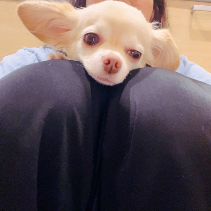 9cac7d22 be7b 46c1 8906 9951a68c3a63 1759540988366