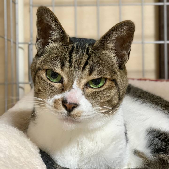 9cac8636 32c0 42e9 8559 d375cd893b7e 1583370548047