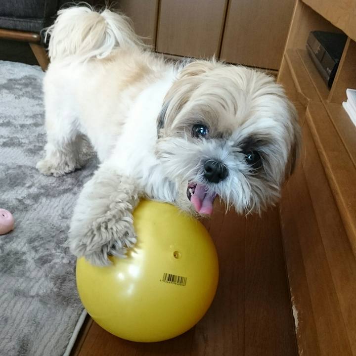 9cac8680 5bdd 4816 af2a 6ca7b78c0619 1546668318108