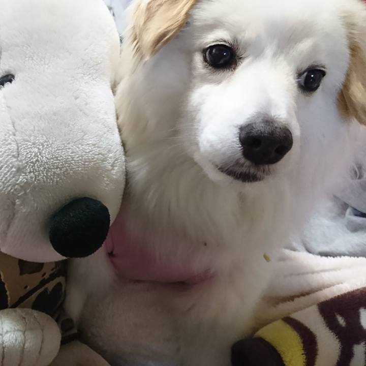 9cac921c f135 47f3 b5ca 3dad53cd5d54 1646912420484