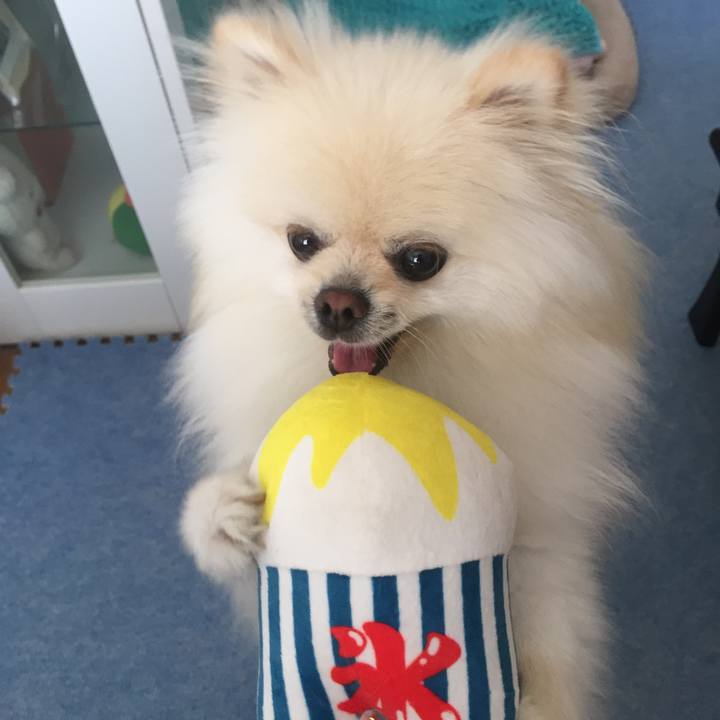 9caca258 36aa 4bb9 9f5e 9942bbd39f21 1531715358033