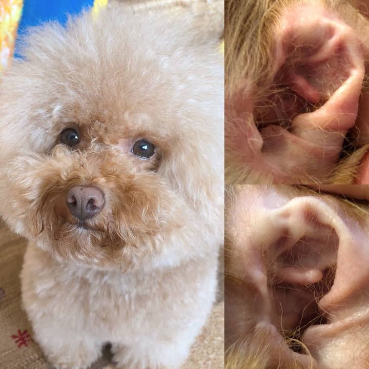 9caca837 0bcf 4609 a393 3986306a0189 1539122387448