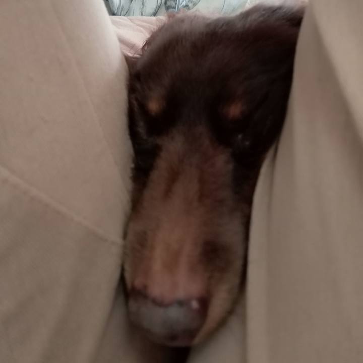 9cacd759 1fca 405a be8a 743347b4154e 1772571696349