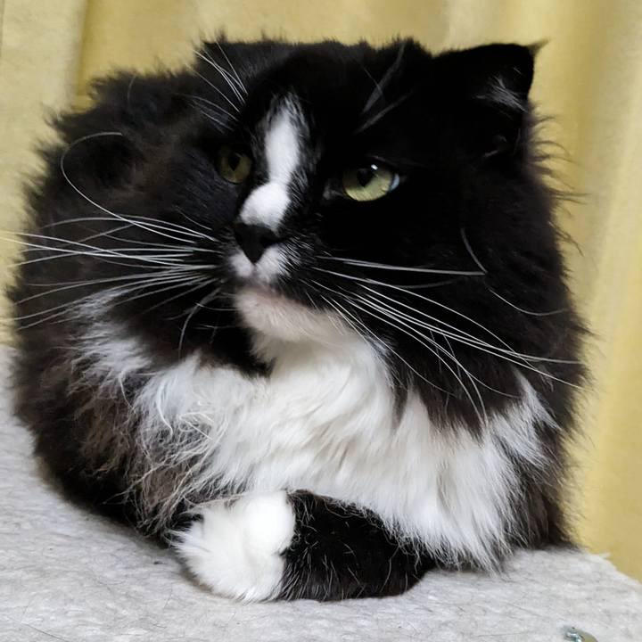 9cad0c32 6478 473a bf29 ef177ac3a3d9 1714293551517