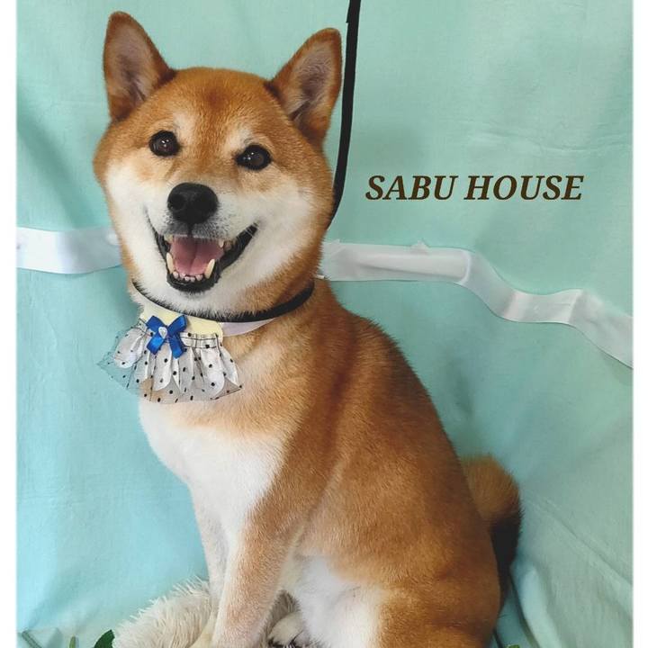 9cad1cea c9e4 480d bb6a 66a1bf0ff7cd 1656561709222