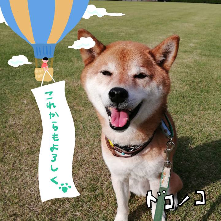 9cad2365 09ce 480a 91d0 05301ec247ec 1685969120576