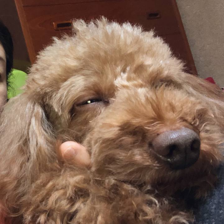 9cad486d 48c4 4520 9681 bfff37df29b3 1547945137286