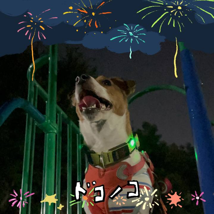 9cada6e5 0c4d 4f1d 8b08 989ea0843d5c 1723231843816