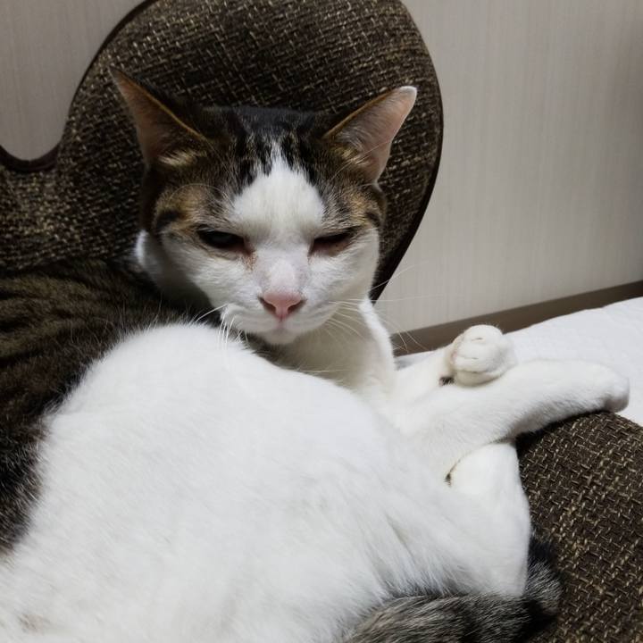 9cadb706 907c 4d29 8b05 77db30bf80ac 1586950948196