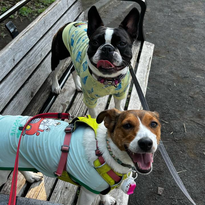 9cadb773 18be 4cdf b91c 88e4a9ed8b89 1750166157933