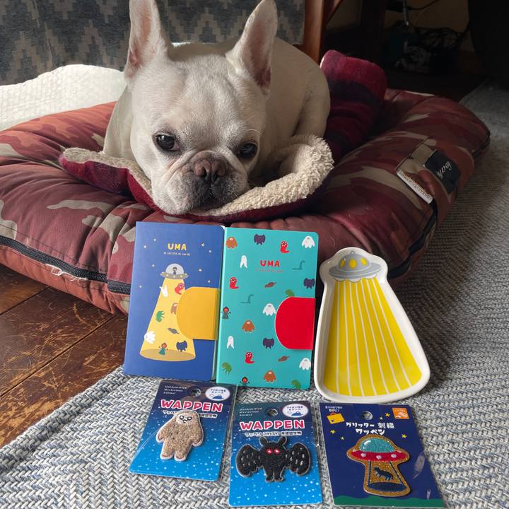 9cade6eb 7b4e 49af a7bf 6697b5ffe0d2 1751532141406