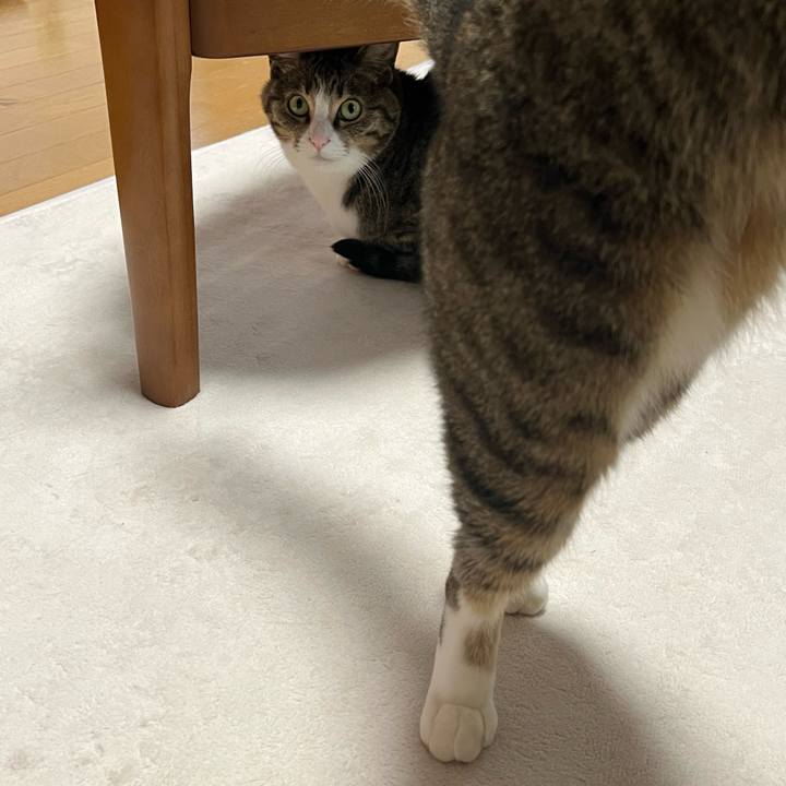 9cadeb70 9907 4c08 9e0d 463758a00898 1773639093853