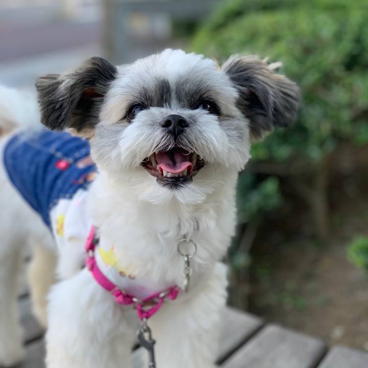 9cadfc5a 5553 4e60 9eb9 26af7a5b591e 1567932307730