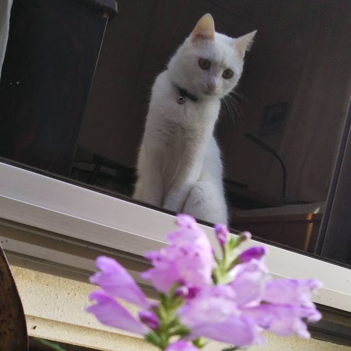 9cae1a04 9383 49e3 8f1e bc7bfa4b92c1 1664146380560