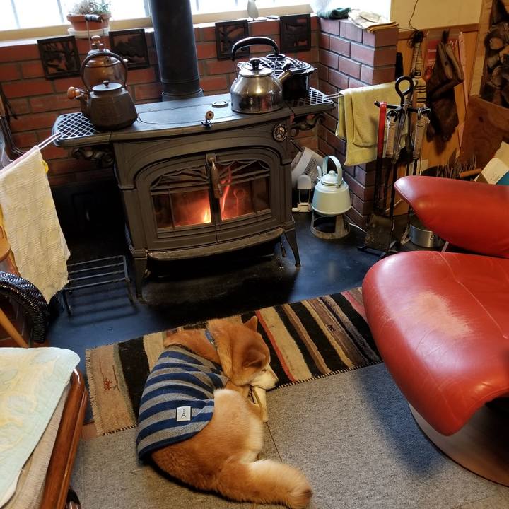 9cae5d2c e96a 43b8 867f f571e56ca63a 1580426851920