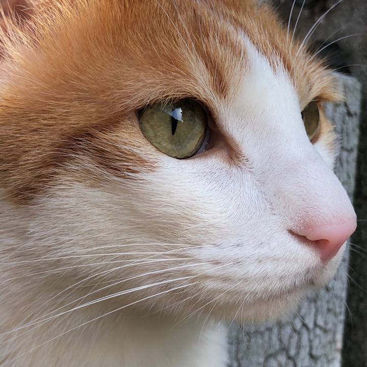 9cae7fc8 dd74 4cc2 80f6 7a67f7b9cb68 1557403569651