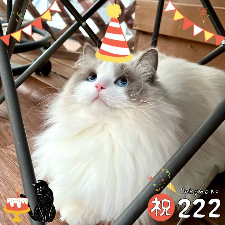 9cae8106 ef1a 430f 9719 6d5d40ed9ee5 1645521734763