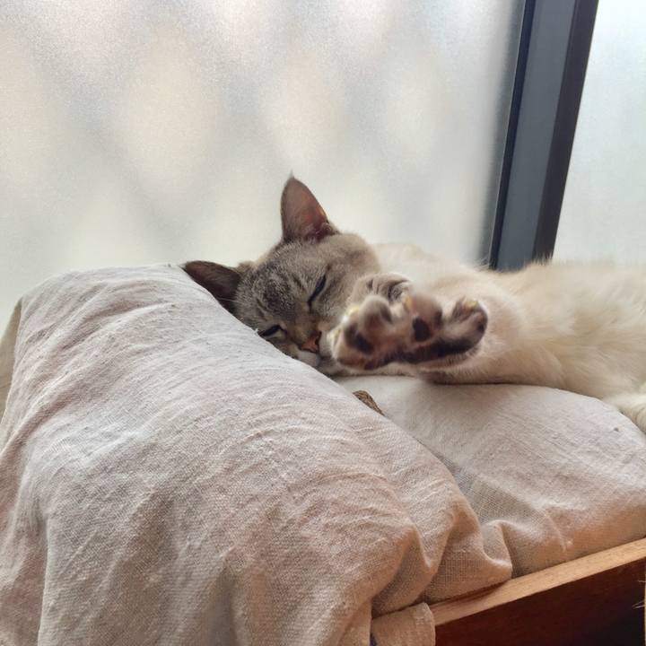 9caecdf7 1776 43d0 9b4f 8d6129489554 1561792972885