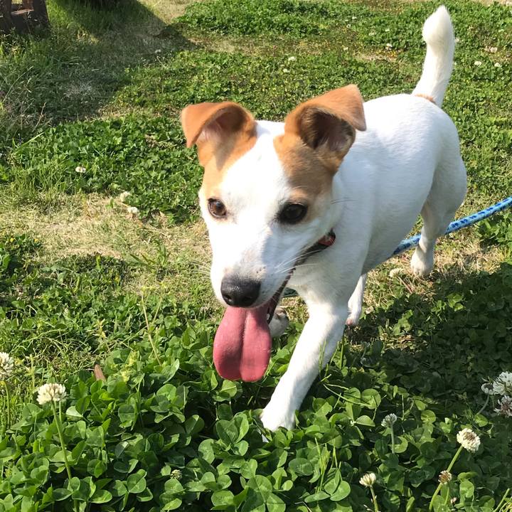 9caee0de 8a5d 4c88 8ed3 d49e635d6afe 1587029664635