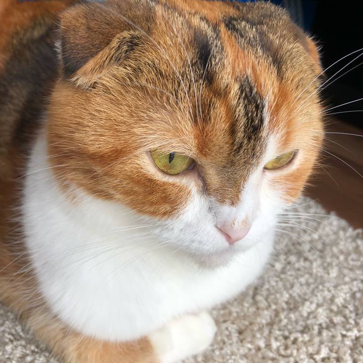 9caee834 54bb 40d5 99d7 03bb1efadb78 1538187466714