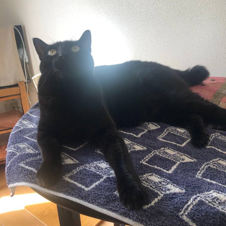 9caf08d7 7613 4762 8a22 4cc61f1a3042 1578707403901