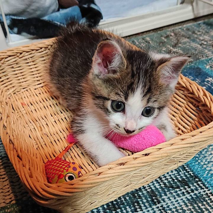 9caf5dbd a8be 4c9b 8da1 bc92b0bf1c54 1619266146021