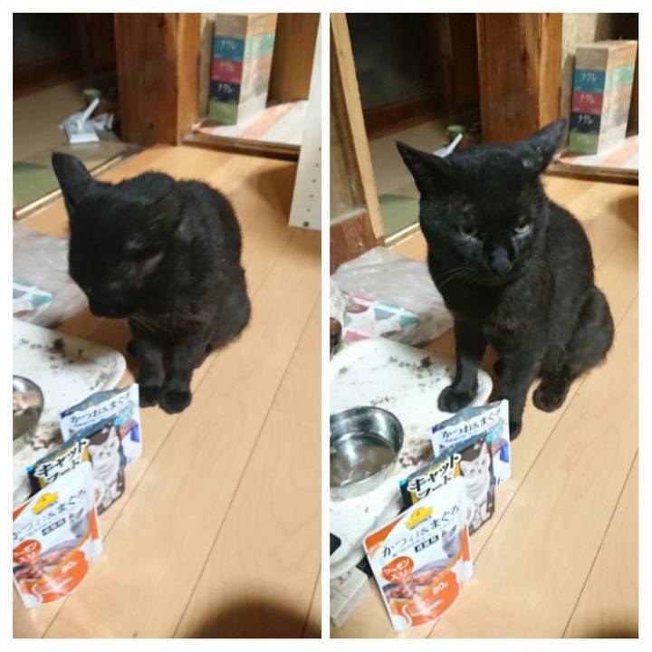 9caf655f d1de 4e49 b1d4 fb1648c68e9e 1627732654319