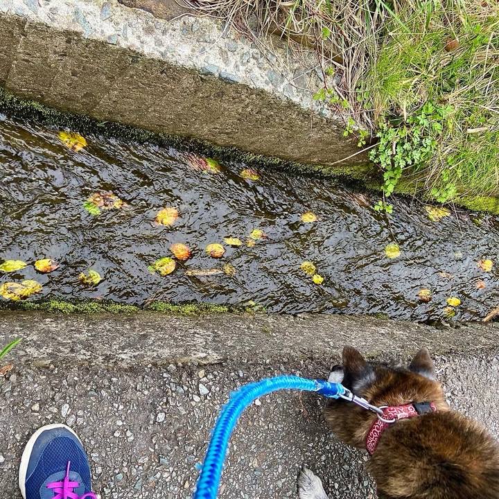 9caf7d46 3a00 4f45 82f0 77f4a8282de9 1744245707881