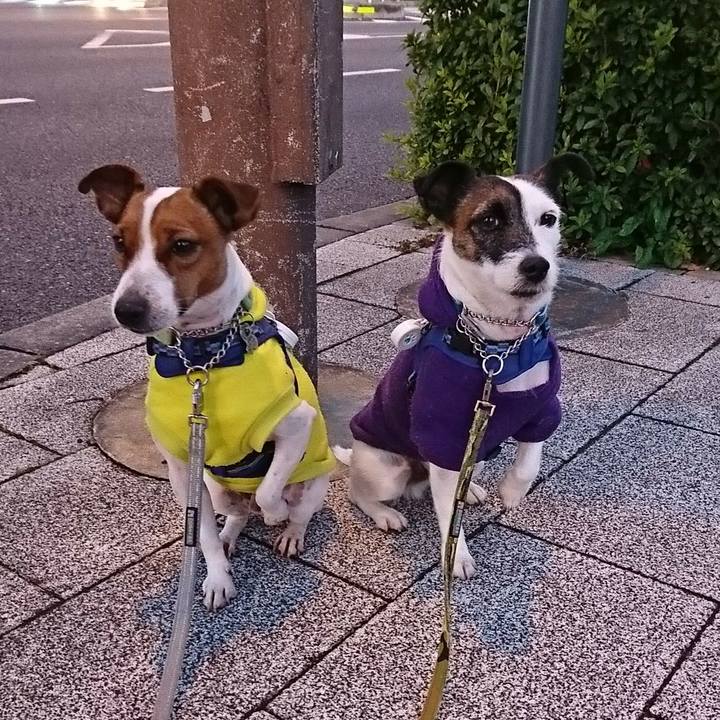 9cafed95 980b 408e 9054 e430f6536dd2 1575754840993