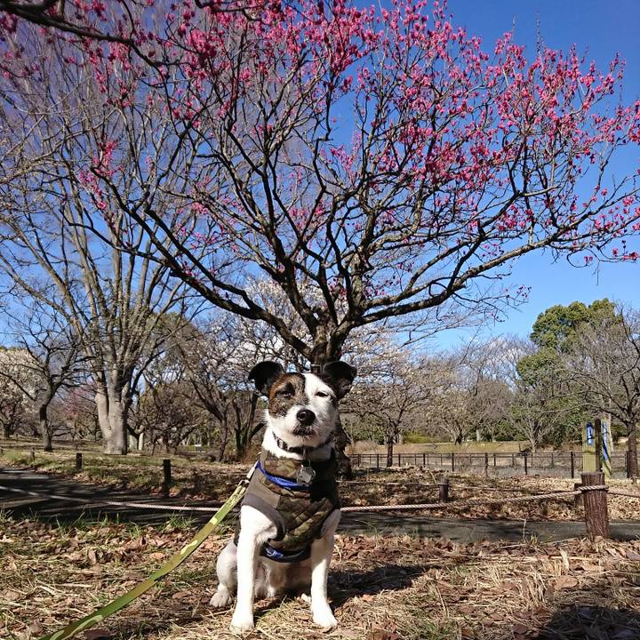 9cb00cc0 7043 45c5 a70e 4e6f2823109e 1519883456624