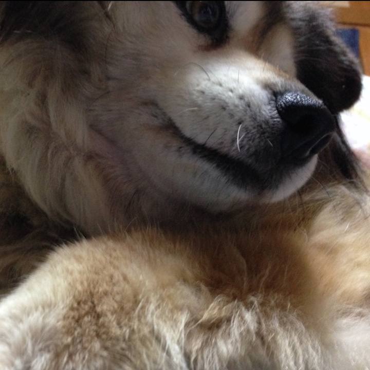 9cb07b25 ac3c 49de ba26 257ef9873448 1603936137399