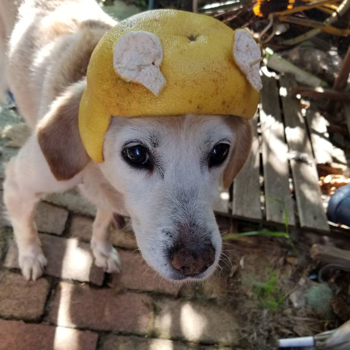 9cb096d9 36ae 4a14 8e39 bfba14ab0398 1758827915502