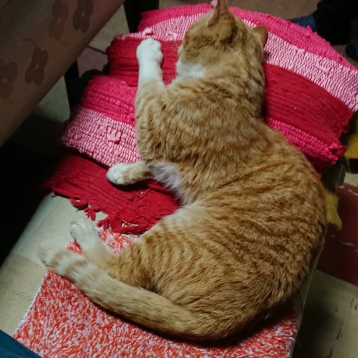 9cb0ab8e bef1 4e83 a9ed fd1ff0ae5043 1555069666089