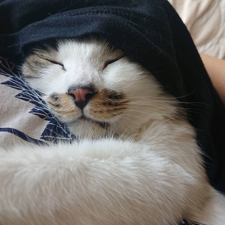 9cb0c210 f76b 43e4 9c59 9507a50b5a0d 1651712176551