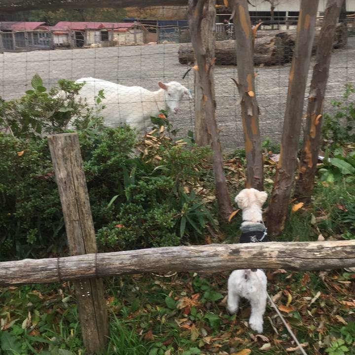 9cb0d8b1 5c11 44ce 8946 4134fafb096e 1509191989000