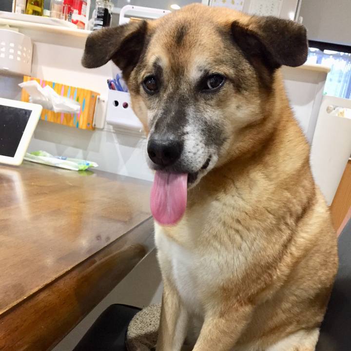 9cb0f753 d990 4fb2 bba0 e9a22b55c784 1520553490392