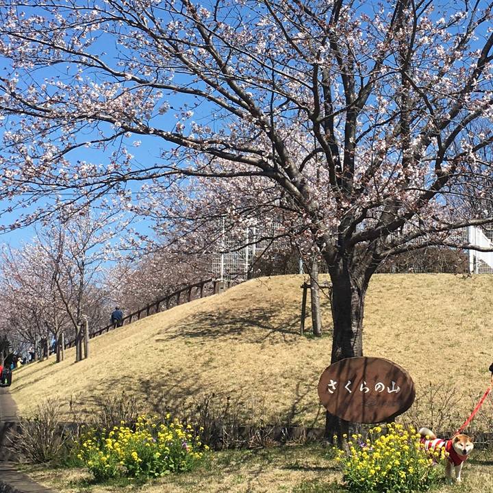 9cb1002c c6d1 4697 b610 556a473e605f 1585124557832