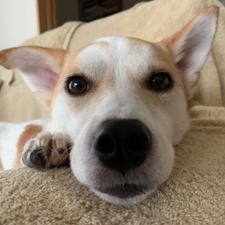 9cb12967 a8bc 4acd bb9d d5d1202061f4 1563246553350