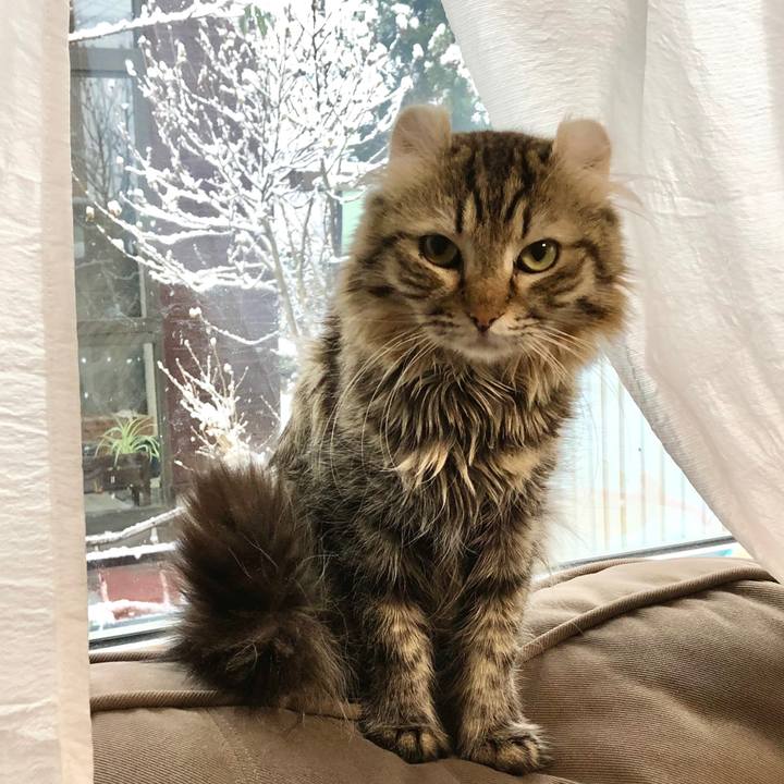 9cb15a70 c908 462c 8c03 be433f58f647 1615274526145