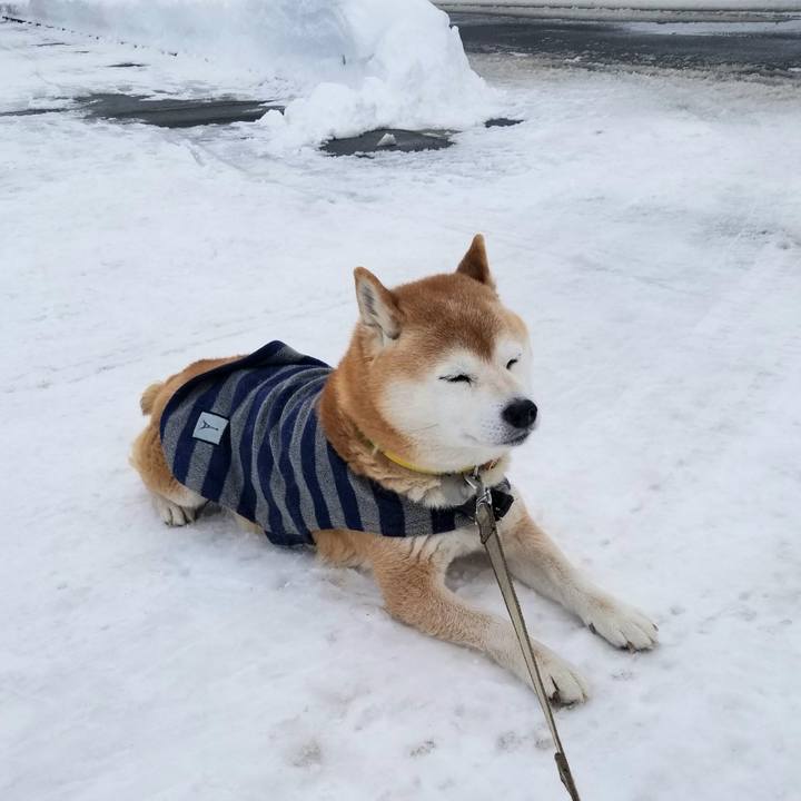 9cb16819 8876 4fca 9fa5 cb32415fac2e 1674968770931