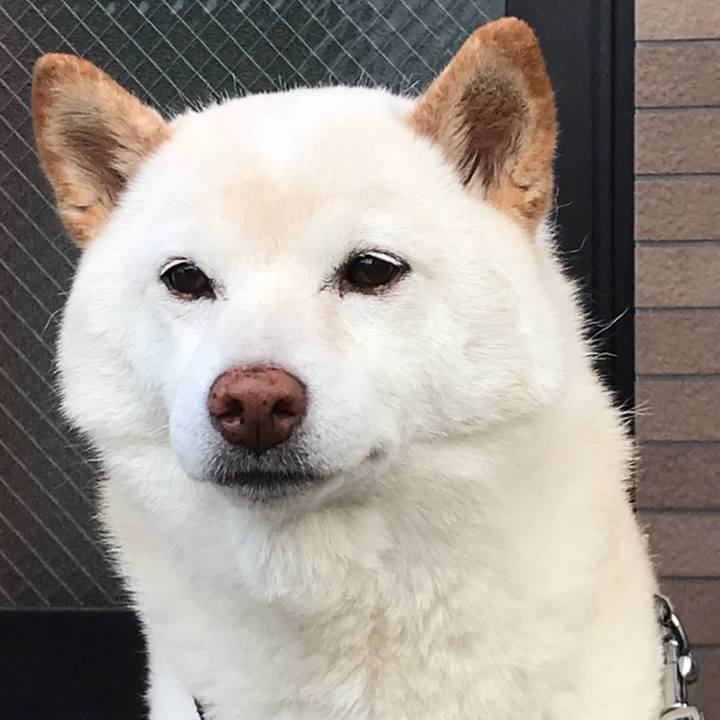 9cb18d4d a3e8 4b04 8082 abe11fb4d937 1647314720664